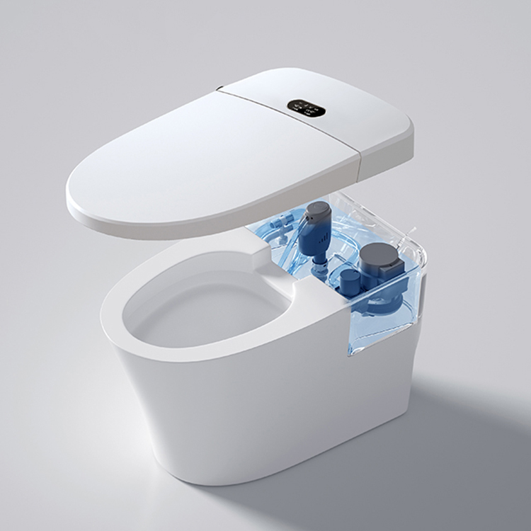 Modern Smart Toilet Digital Di - Home Bathroom Ware review and price