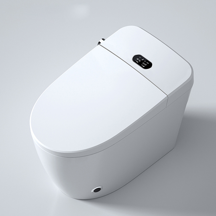 Modern Smart Toilet Digital Di - Home Bathroom Ware review and price