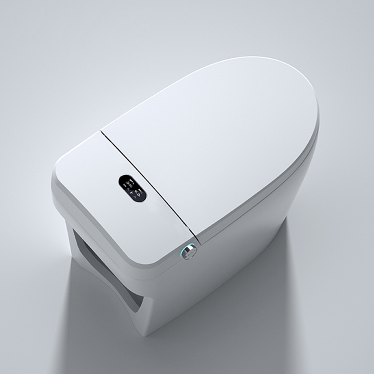 Modern Smart Toilet Digital Di - Home Bathroom Ware review and price