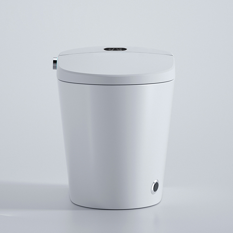 Modern Smart Toilet Digital Di - Home Bathroom Ware review and price