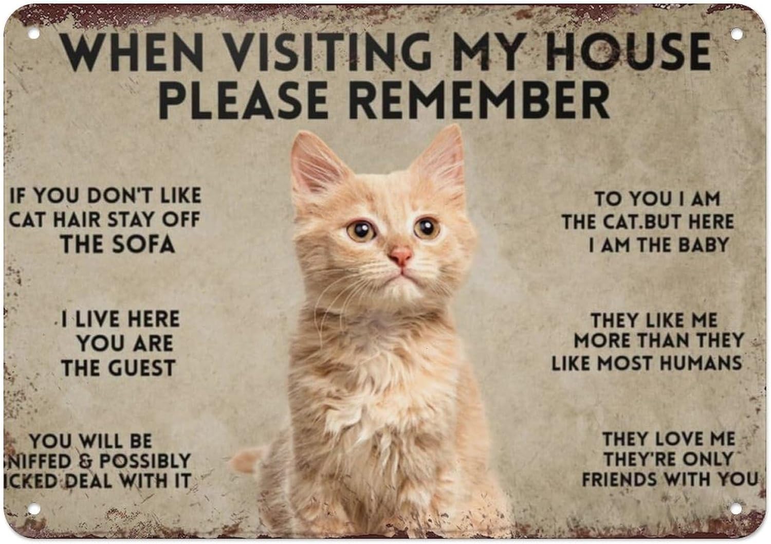 When Visiting My House Please  - Bathroom Home Visit review and price
