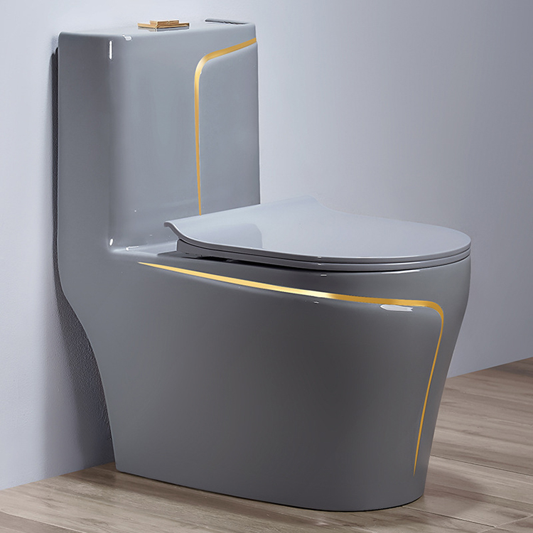Grey Ceramic One Piece Bidet T - Home Bathroom Ware review and price