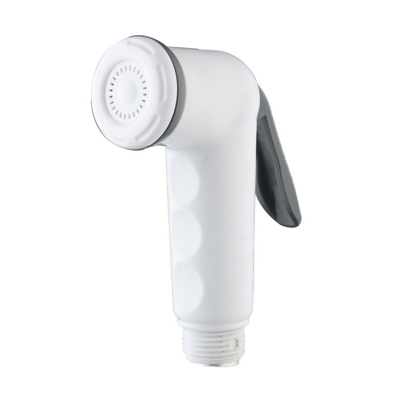 White Plastic Toilet Bidet Spr - Home Bathroom With Two Toilets review and price