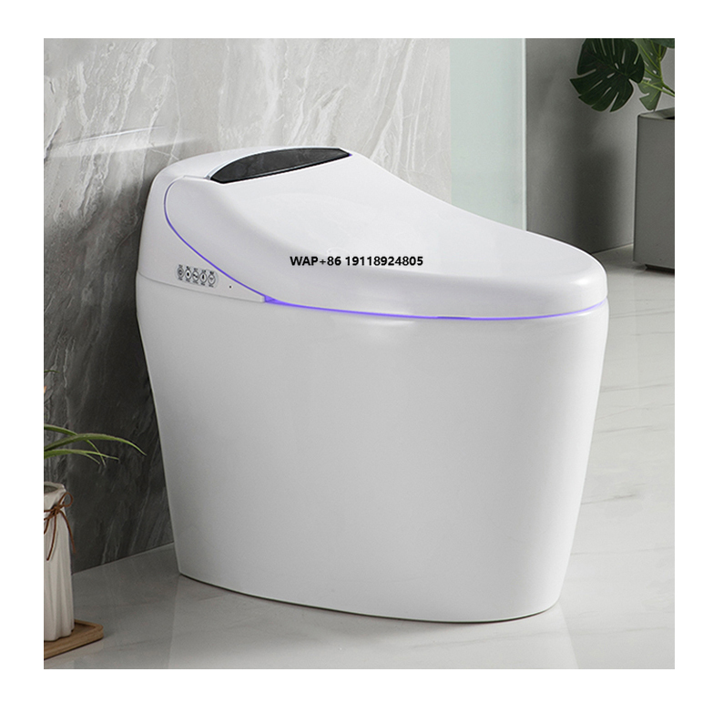 High End Automatic Flush Sanit - Home Bathroom Ware review and price