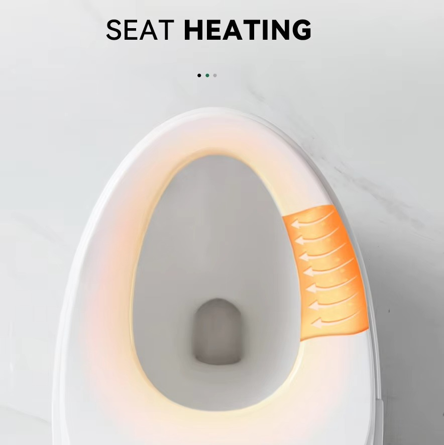 High End Automatic Flush Sanit - Home Bathroom Ware review and price