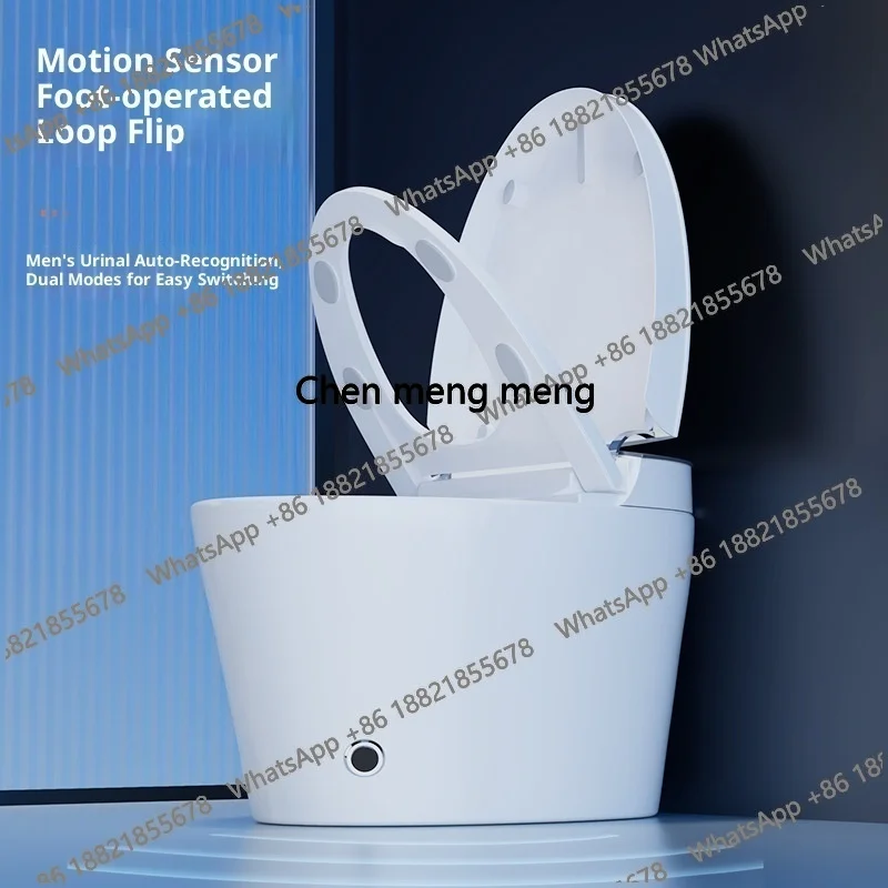 Z0189High End Automatic Flush  - Home Bathroom Ware review and price