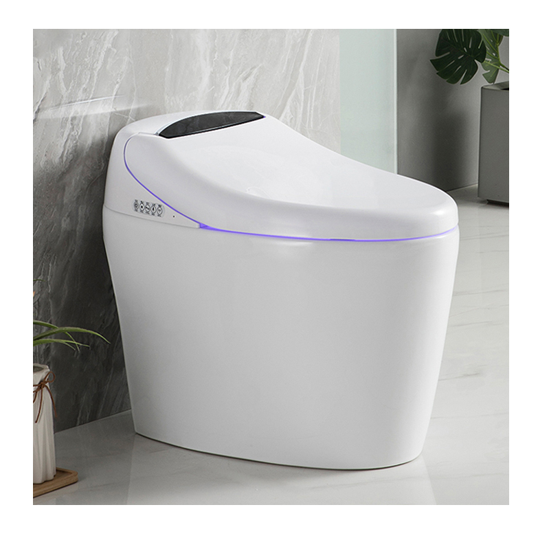 High-end Automatic Flush, Sani - Home Bathroom Ware review and price