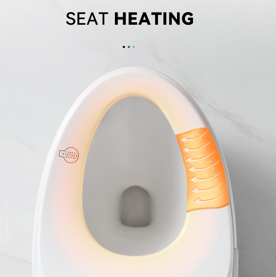 High-end Automatic Flush, Sani - Home Bathroom Ware review and price