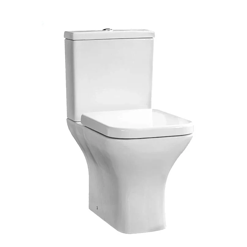 z China sanitary ware  toilet  - Home Bathroom Ware review and price