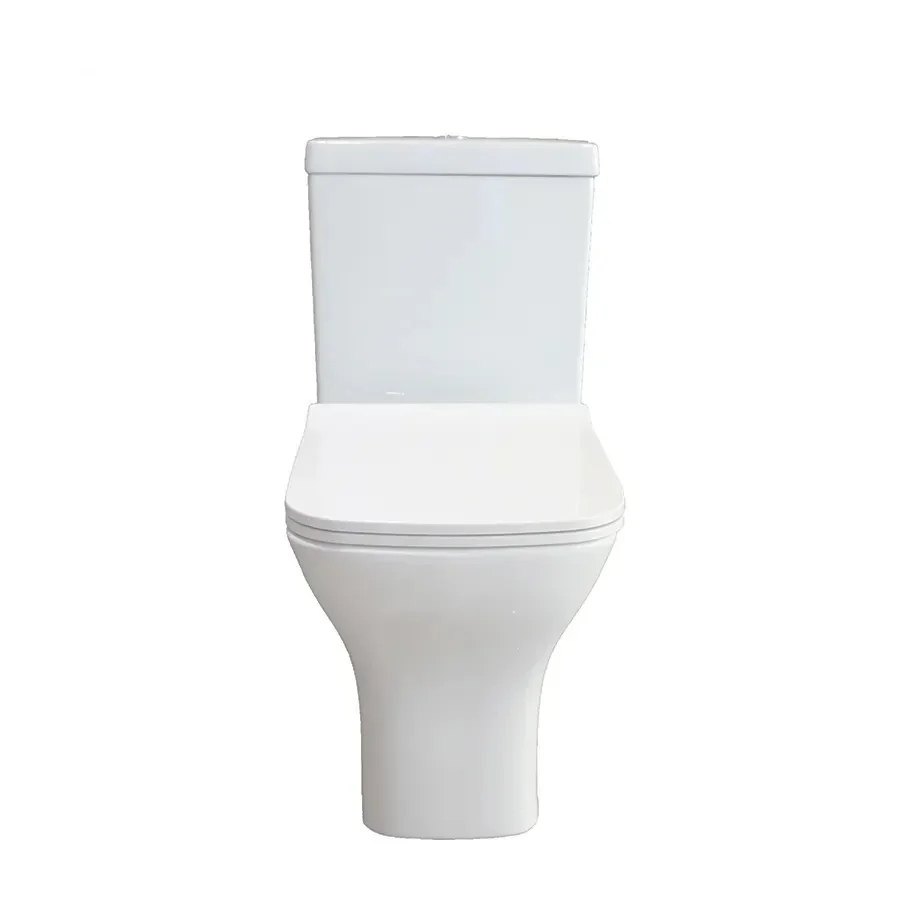 z China sanitary ware  toilet  - Home Bathroom Ware review and price