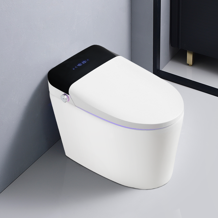 Hotel Home Bathroom Sanitary W - Home Bathroom Ware review and price