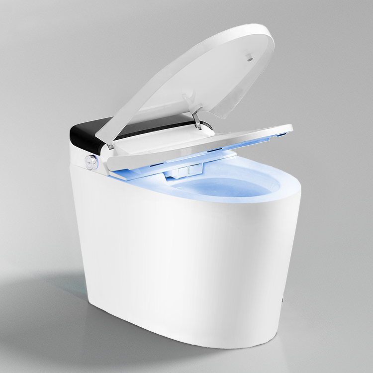 Hotel Home Bathroom Sanitary W - Home Bathroom Ware review and price