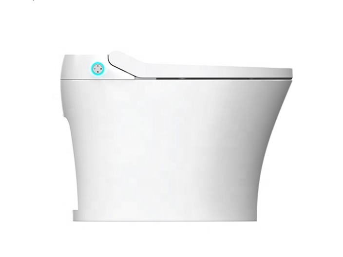 Easy Installation Electric Bid - Home Bathroom Ware review and price