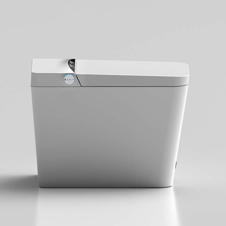 Floor Mounted Smart Toilet, CU - Home Bathroom Ware review and price