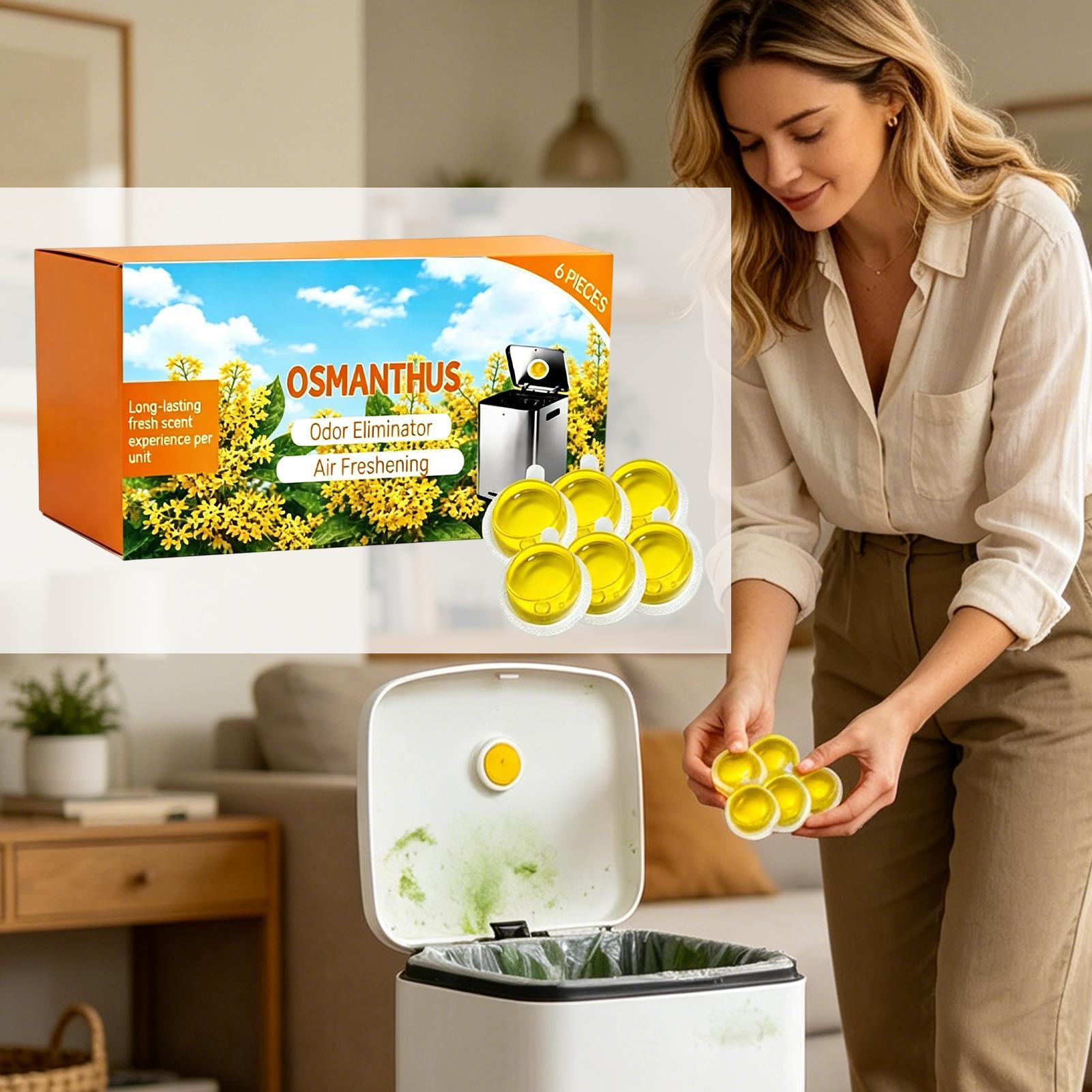 6PC Garbage Can Deodorizer, Lo - Home Bathroom Trash Can review and price